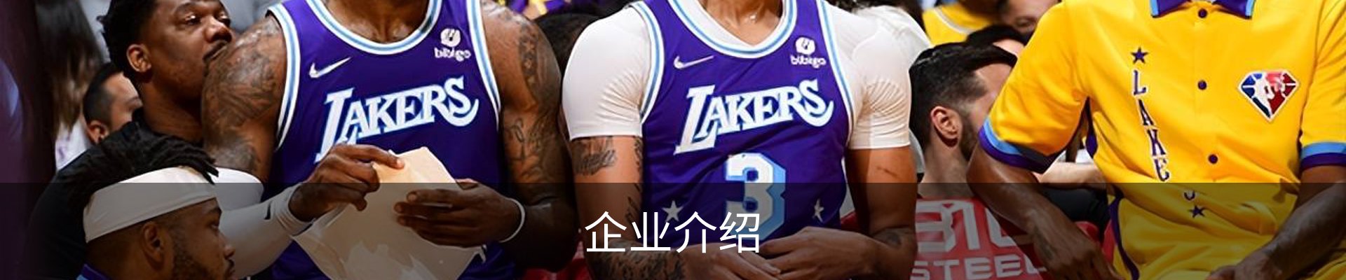 企业介绍