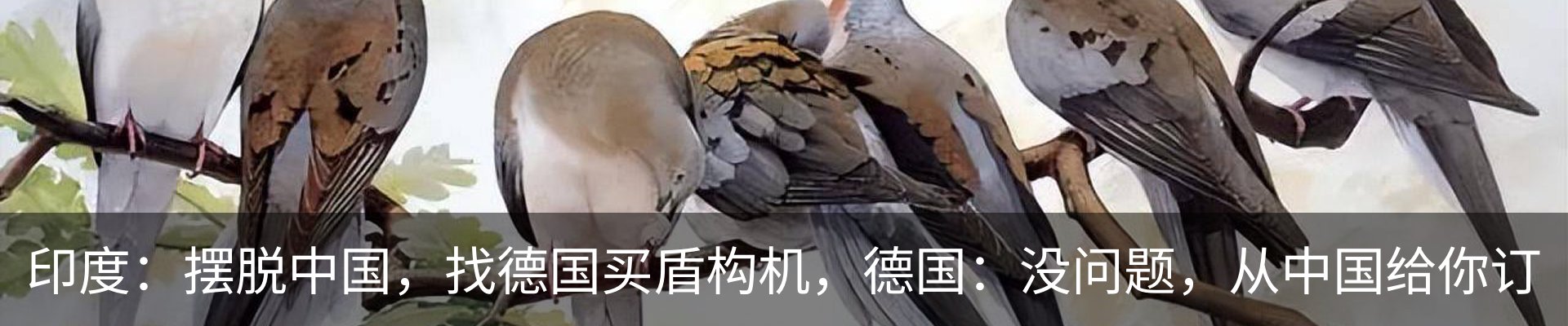新闻动态